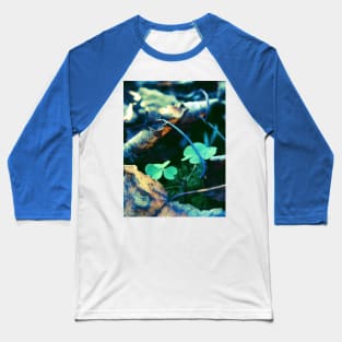 Dead Leaves and Clovers Baseball T-Shirt